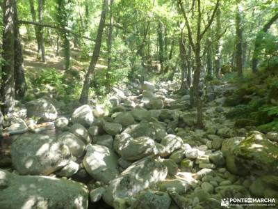 Garganta de la Cereceda - Piscinas de Piedralaves; la pedriza de manzanares senderismo potes piolet 